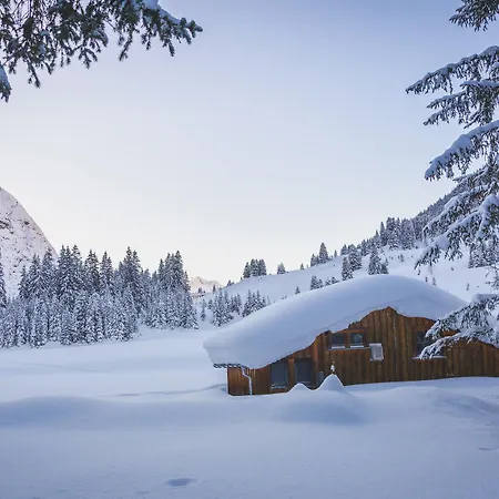 Anemone Lech am Arlberg