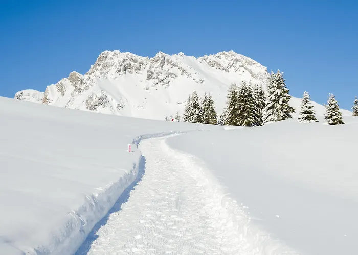 アネモネ ホテル 4*