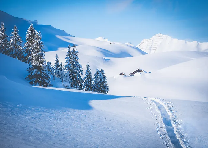 アネモネ ホテル レッヒ