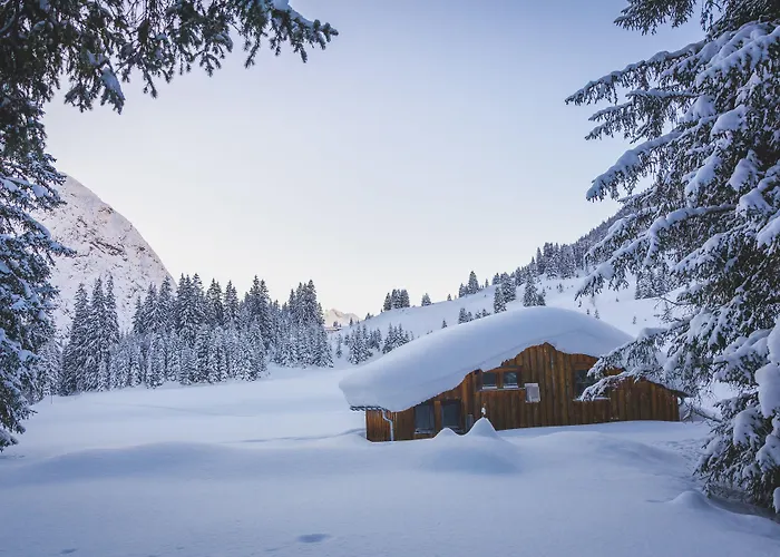 アネモネ レッヒ